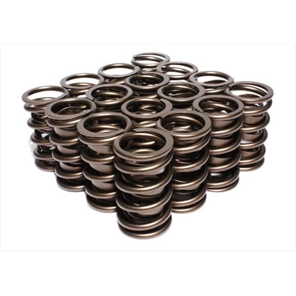 Protectionpro 99516 Dual Valve Springs PR359955 - main