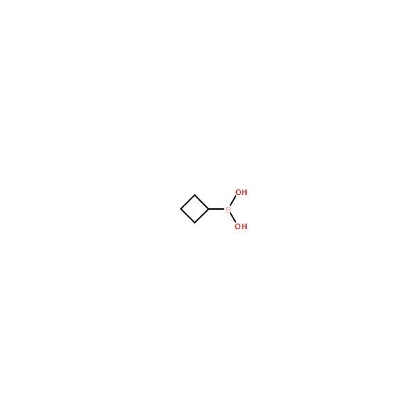 Ak Scientific Cyclobutylboronic acid (5g), CAS 849052-26-2 X2316-5g - main