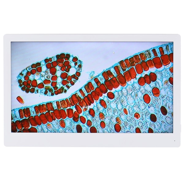 Amscope 1080p HDMI Monitor with Mounting Bracket for HD1080 and HD1080A Cameras HDM - main