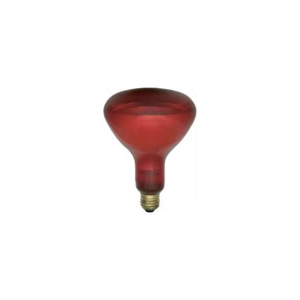 Ilc Light Bulb / Lamp Replacement 250W R40 Incandescent PAR Lamp - 5000HR Life 250R40/10-220V - main