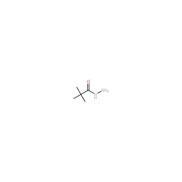 Ak Scientific Pivalic acid hydrazide (5g), CAS 42826-42-6 E028-5g - main