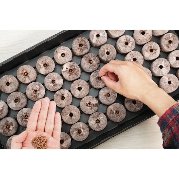 Plantbest 50-Pellet Coir Greenhouse Kit 3261 - main