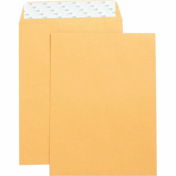 Business Source Filing Envelope, Brown, Kraft, PK4 BSN42120 - main