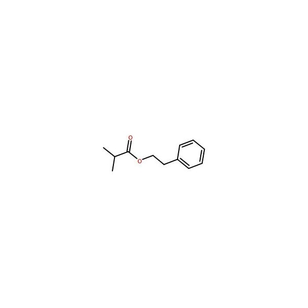 Ak Scientific Phenethyl isobutyrate (100g), CAS 103-48-0 8780AL-100g - main