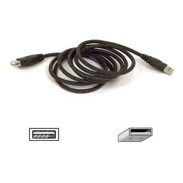 Belkin USB EXTENDER - 4 PIN USB TYPE AFEMALE - 4 PIN USB TYPE AMALE - 6 F F3U134B06 - main