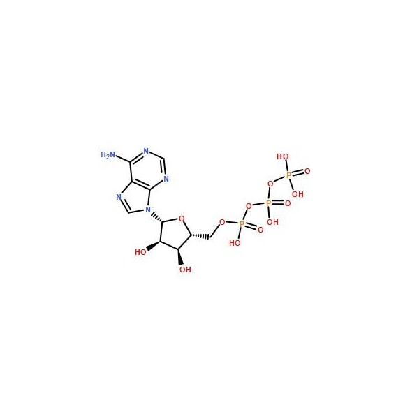 Ak Scientific Adenosine triphosphate (25g), CAS 56-65-5 X5319-25g - main