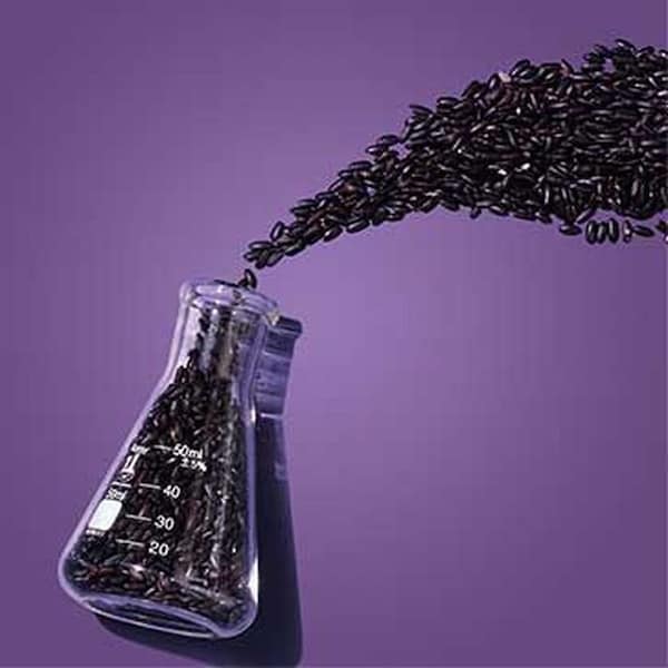Nexxus Keraphix with Keratin Protein and Black Rice ProteinFusion Conditioner, 8.5 Fluid Ounce, 4PK 64354880 - main