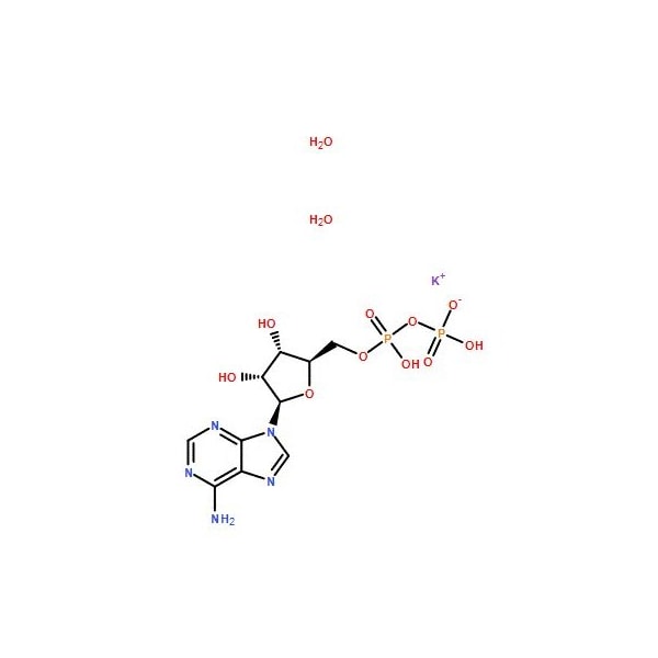 Ak Scientific Adenosine 5'-diphosphate monopotassium salt dihydrate (1g), CAS 72696-48-1 1275AC-1g - main