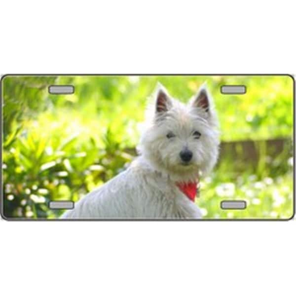 Powerhouse West Highland White Terrier Dog Pet Novelty License Plates- Full Color Photography License Plates PO516386 - main