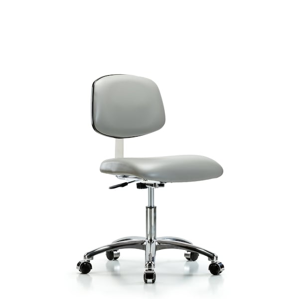 Blue Ridge Ergonomics Clean Room Chair Desk Chair, Vinyl, Chrm, Casters, Dov, CL10, 18" to 23" Height, Vinyl, Dove BR-CLR-VDHCH-CR-CC-8567 - main