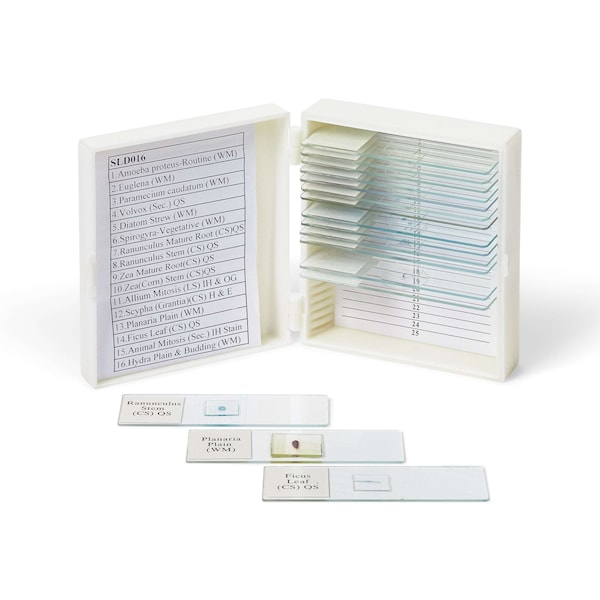 United Scientific Biology Prepared Slide Set Of 16 SLD016 - main