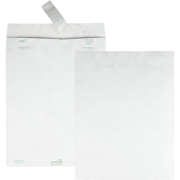 Survivor Tyvek Mailer, Side Seam, 10x13, PK100 R1580 - main