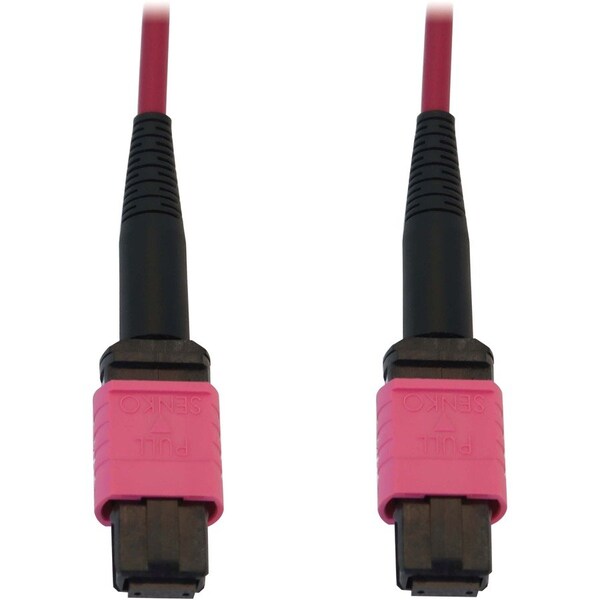 Eaton Tripp Lite Series 100G Multimode 50/125 OM4 Fiber Optic Cable 12F MTP/MPO-PC F/F, LSZH, N845B-02M-12-MG - main