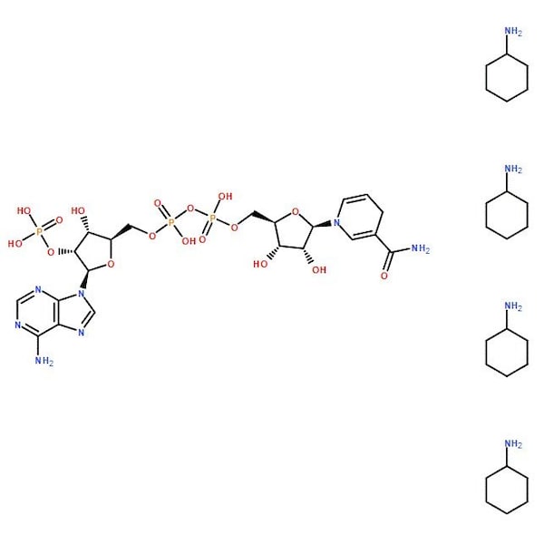 Ak Scientific NADPH Tetra(Cyclohexammoinum) salt (100mg), CAS 100929-71-3 Y1719-100mg - main