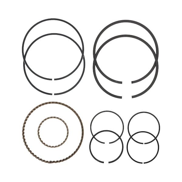 Speedaire Ring Kit TF006900AJ - main