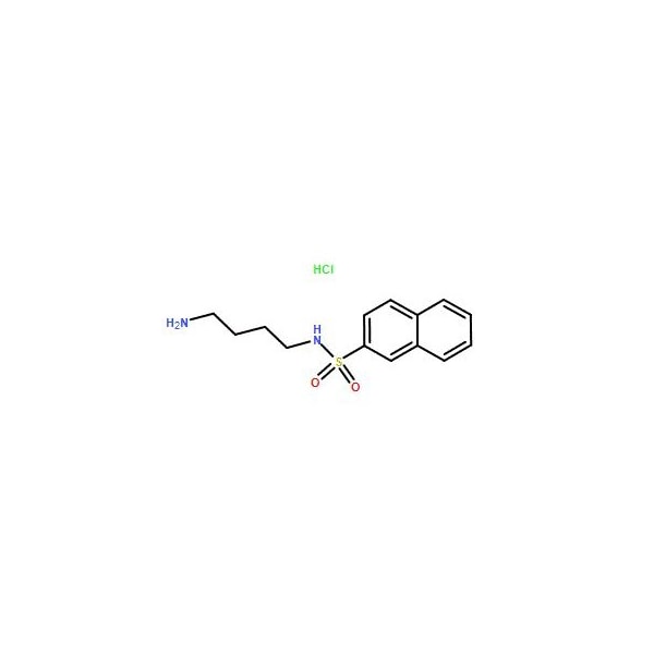 Ak Scientific N-(4-Aminobutyl)-2-naphthalenesulfonamide hydrochloride (25mg), CAS 89108-46-3 9781AJ-25mg - main