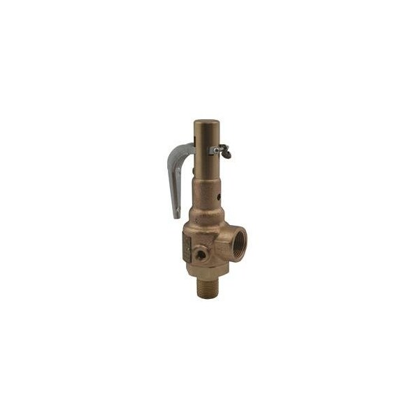 Apollo Valves Safety Relief Valve 19MFEA15 - main