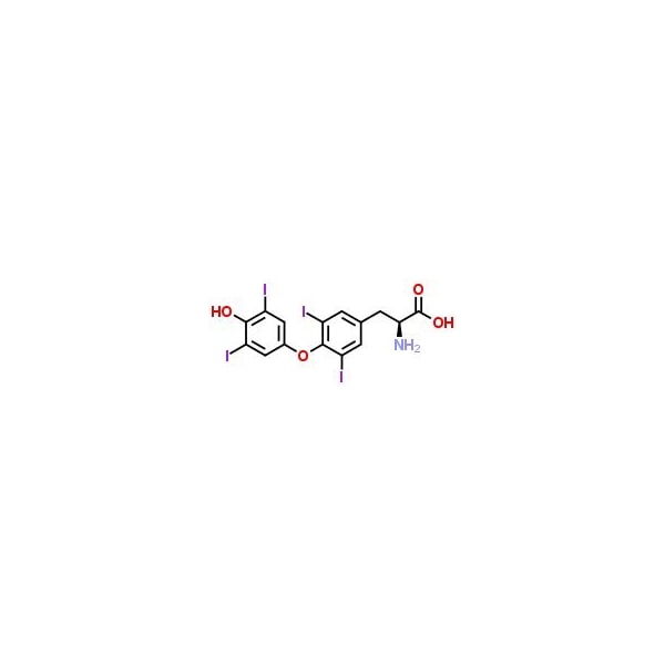 Ak Scientific L-Thyroxine (5g), CAS 51-48-9 C539-5g - main