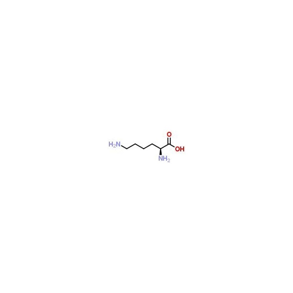 Ak Scientific L-Lysine, meet USP specifications (5g), CAS 56-87-1 C743-5g - main