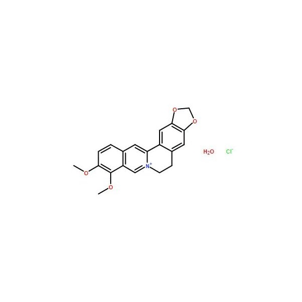 Ak Scientific Berberine chloride hydrate (1g), CAS 141433-60-5 6555AF-1g - main