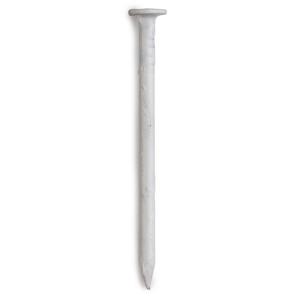 National Nail NAILS TRIM1 1/4 in.WHT 1# 0251078 - main