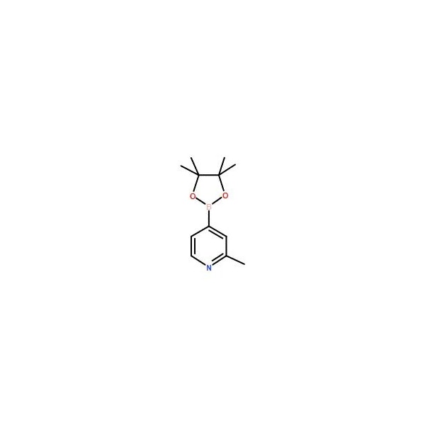 Ak Scientific 2-Methylpyridine-4-boronic acid pinacol ester (1g), CAS 660867-80-1 X0928-1g - main