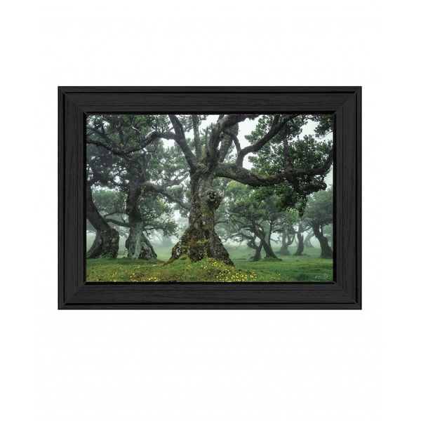 Homeroots Enchanted Forest I 3 Black Framed Print Wall Art 407840 - main