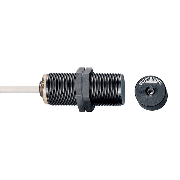 Schmersal Magnetic safety sensors BNS300-01ZG-2230 - main