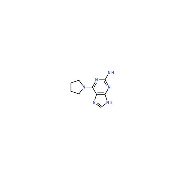 Ak Scientific Pivalimidamide hydrochloride (1g), CAS 18202-73-8 9536AA-1g - main