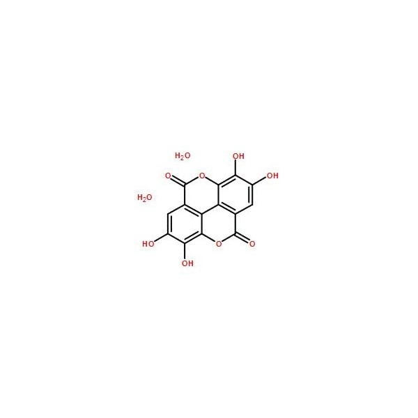 Ak Scientific Ellagic acid dihydrate (25g), CAS 476-66-4 F740-25g - main
