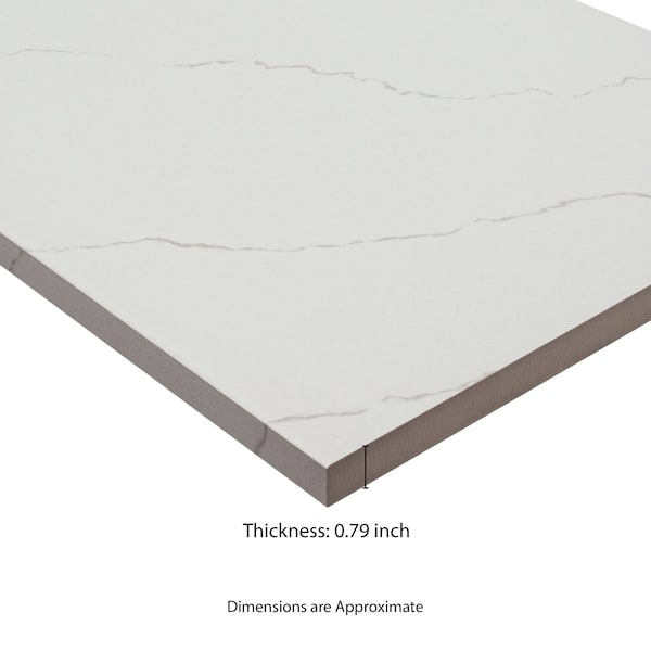 Msi Miraggio Gray 13in X 24in Matte Porcelain Pool Coping, 2PK ZOR-LSC-0214 - main