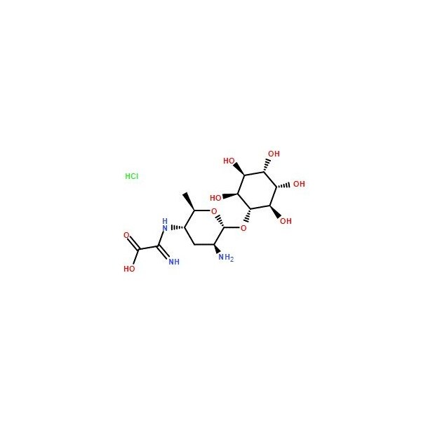 Ak Scientific Kasugamycin hydrochloride (5g), CAS 19408-46-9 Y1683-5g - main