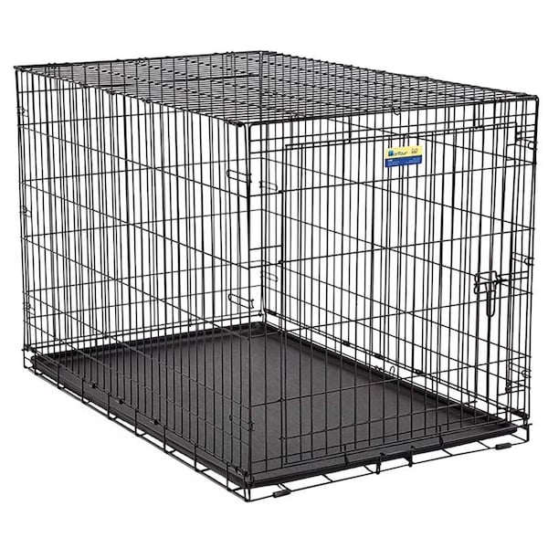 Midwest Metals Pet Essentials Medium Steel Dog Crate Black 26 in. H X 24 in. W X 36 in. D 6109PG - main