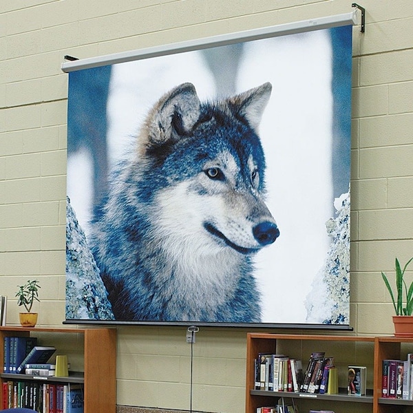 Draper Draper Luma 65" Manual Projection Screen - HDTV, Matt White XT1000E, - Wall/Ceiling Mount 207091 - main