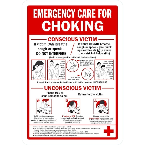 Lyle Emergency Care For Choking, Conscious Victim/ Unconsci, 7x10, Non-Reflective, White G-17084-NA_7x10 - main