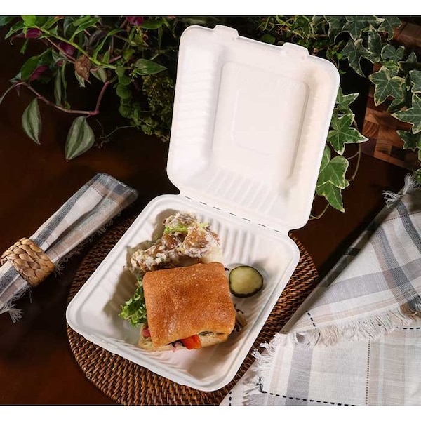Kitch 24/7 Disposables White Compostable Molded Fiber Hinged Container, 8 x 8 inch, 200PK KC-8X8HC-NPAW - main