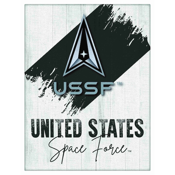 Holland Bar Stool Co United States Space Force 24inx32in Canvas Wall Art LCnvs - main