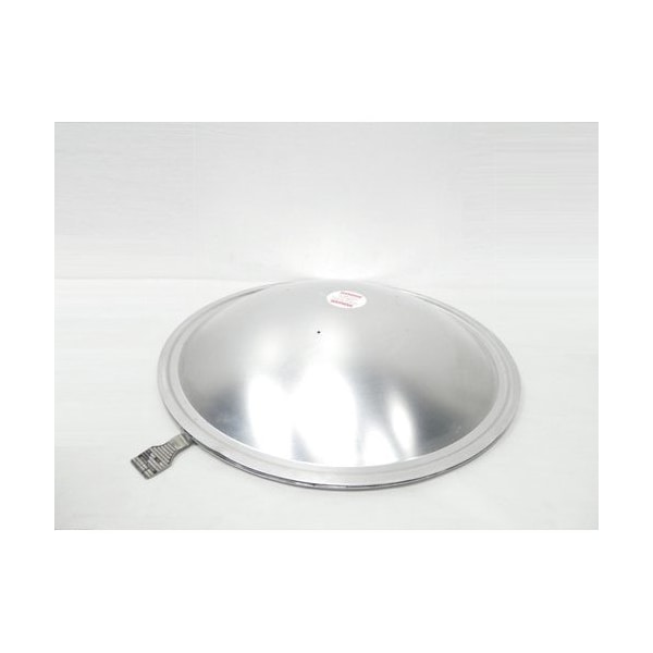 Bs&B Dv 163Psi 24In Rupture Disc DV - main