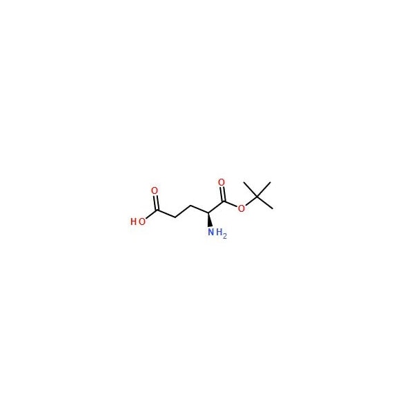 Ak Scientific L-Glutamic acid 1-tert-butyl ester (100g), CAS 45120-30-7 6219AB-100g - main