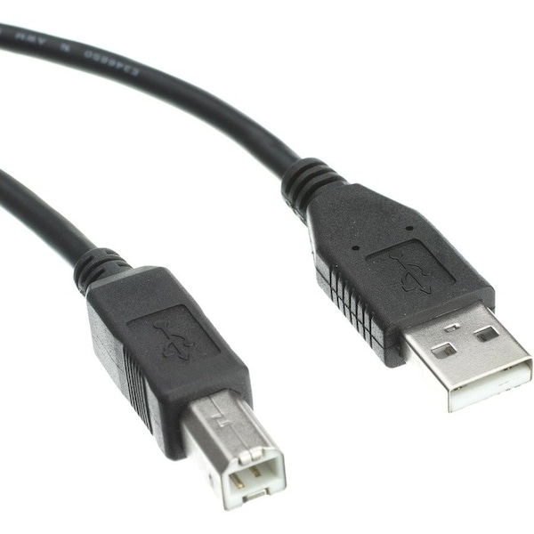 Accortec USB 2.0 Type-A to Type-B Cable M/M 3ft USB2ABMM03-ACC - main