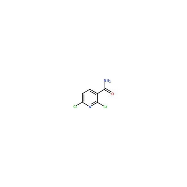 Ak Scientific 2, 6-Dichloronicotinamide (1g), CAS 62068-78-4 Y6329-1g - main