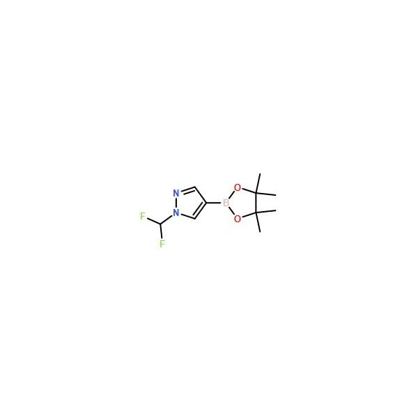 Ak Scientific 1-(Difluoromethyl)-4-(4, 4, 5, 5-tetramethyl-1, 3, 2-dioxaborolan-2-yl)-1H-pyrazole (10g), CAS 1206640-8 Z3972-10g - main