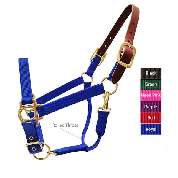Fanciercriador Breakaway Halter, Royal Blue - 800-1100 lbs - Medium FA3548024 - main
