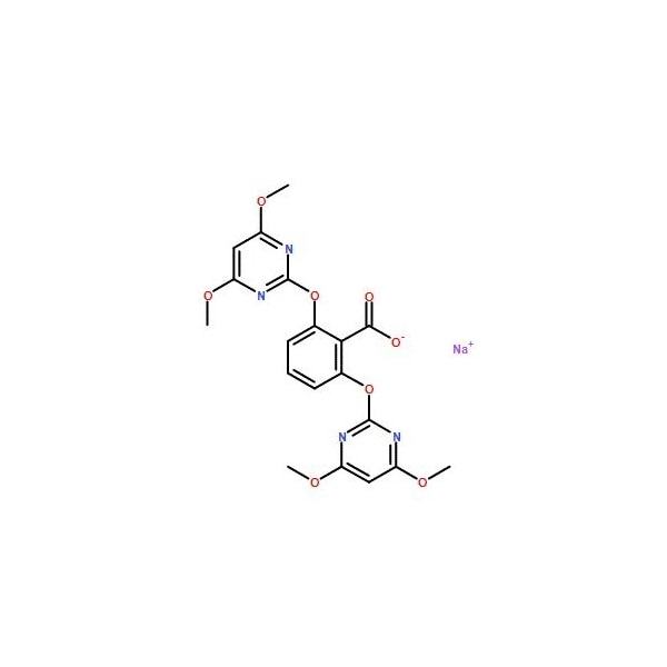 Ak Scientific Bispyribac sodium (1g), CAS 125401-92-5 O178-1g - main