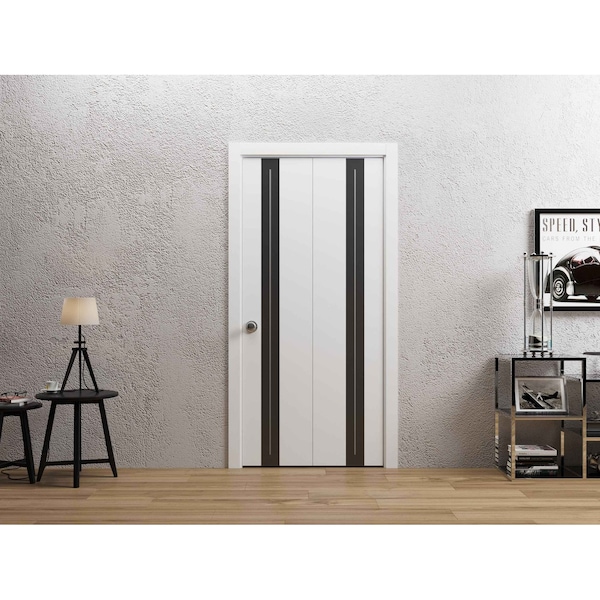 Sartodoors Sliding Closet Bi-fold Doors 84 x 96 inches, Planum 0444 White Silk with Black Inserts and Frosted PLANUM0444BF-WS-8496 - main