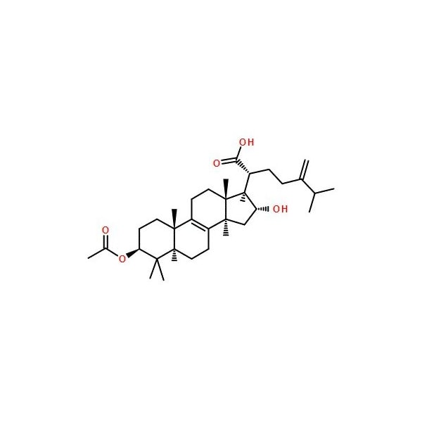 Ak Scientific Pachymic acid (5mg), CAS 29070-92-6 X1198-5mg - main
