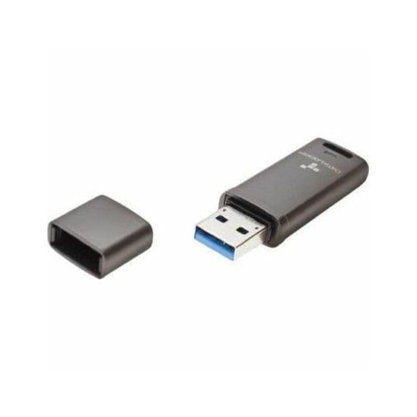 Datalocker 4GB DLGO Encrypted Flash Drive DLGO-004 - main