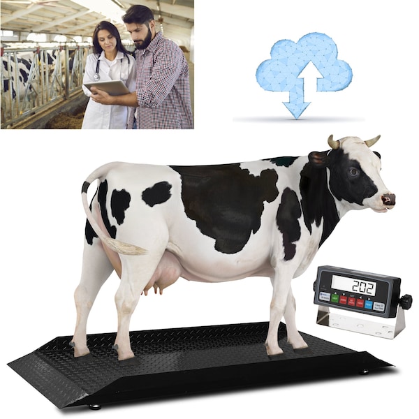 Prime Systems Prime Scales Cattle Scale Livestock Scale w Indicator PS-4KCS-L - main
