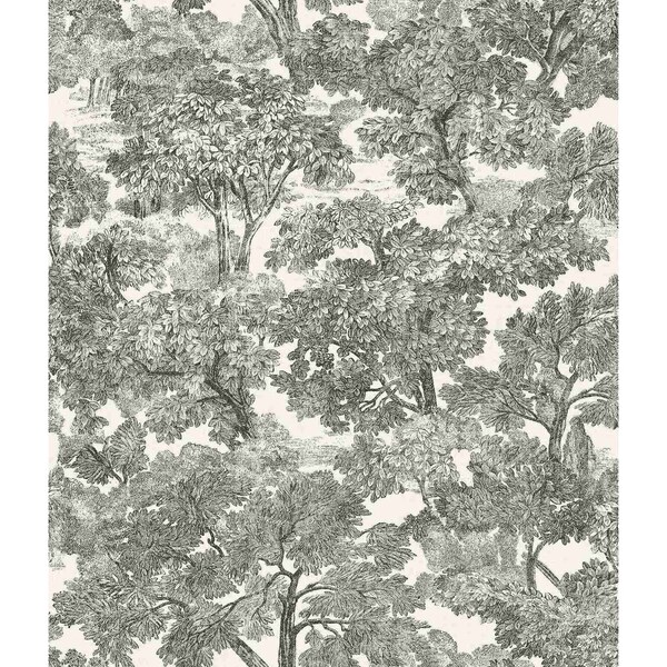 Chesapeake Spinney Black Toile Wallpaper 4134-72558 - main