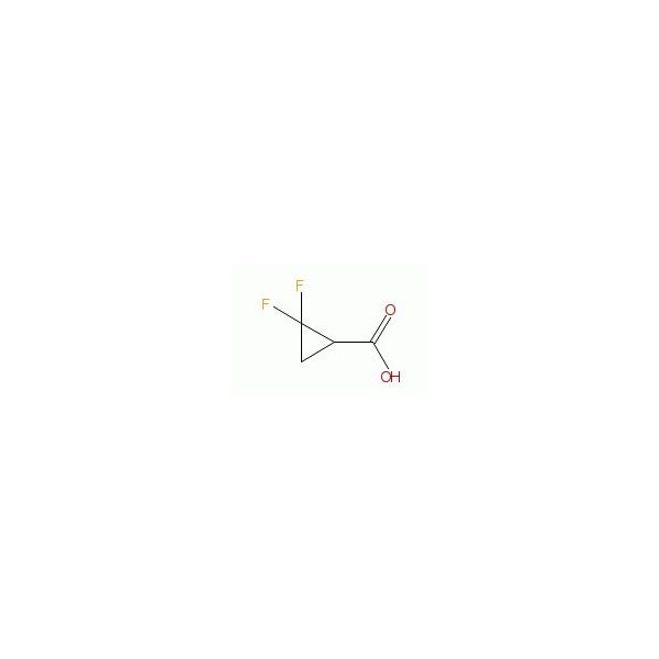 Ak Scientific 2, 2-Difluorocyclopropanecarboxylic acid (5g), CAS 107873-03-0 1603AA-5g - main
